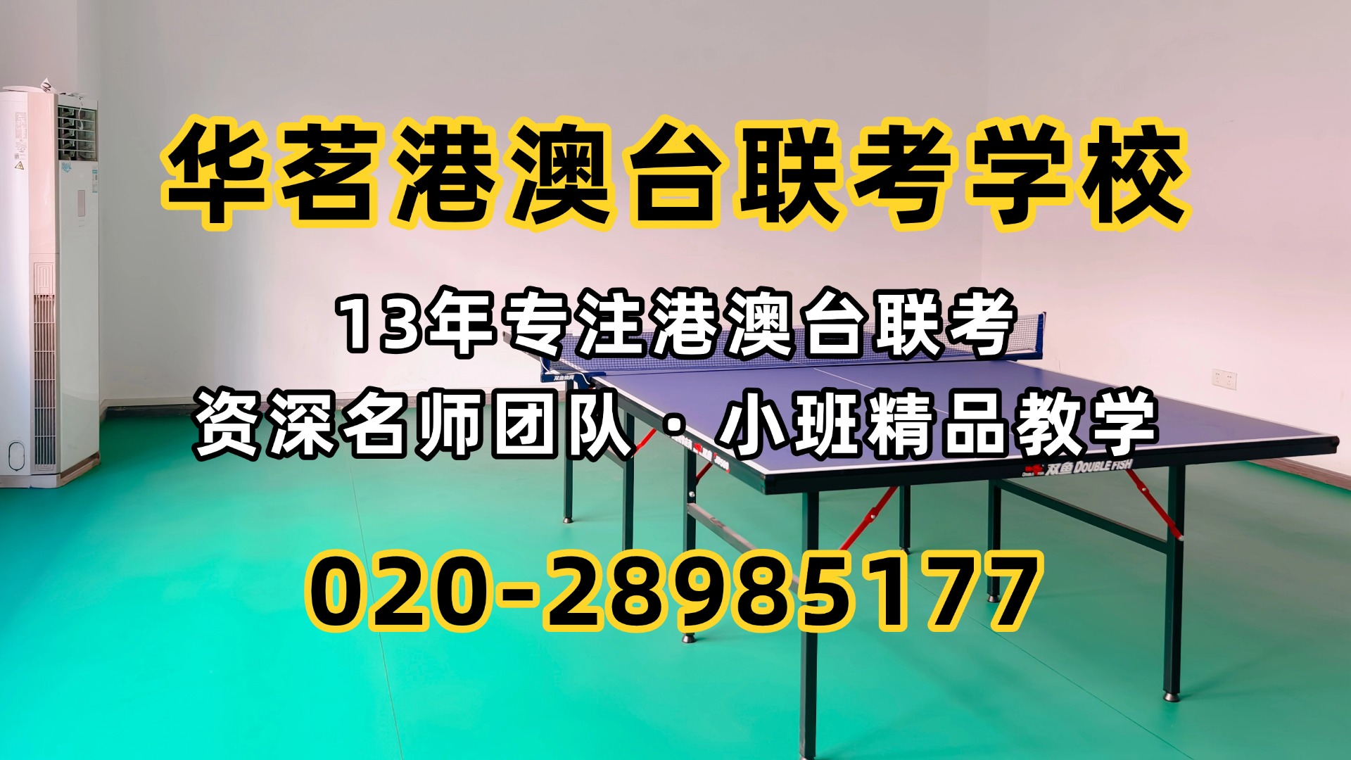 名师有约|史卫乐老师:深耕联考历史,提分与育人并重